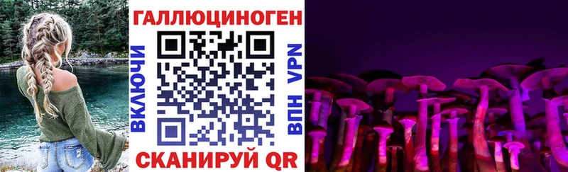 Купить где  Абакан  Псилоцибиновые грибы Psilocybine cubensis 